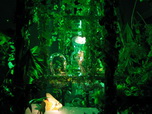 Figueras, Salvador Dali Museum